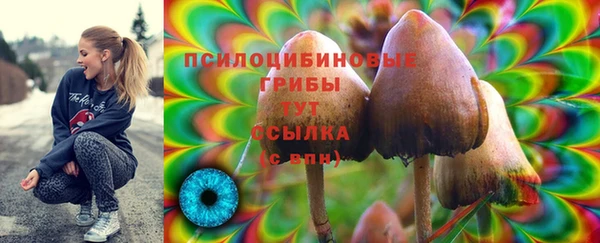 синтетический гашиш Арсеньев