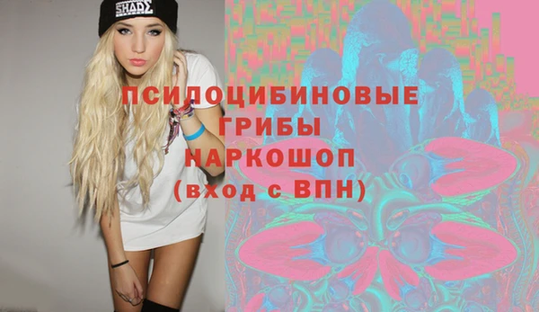 дмт Армянск