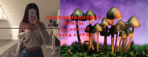 дмт Армянск